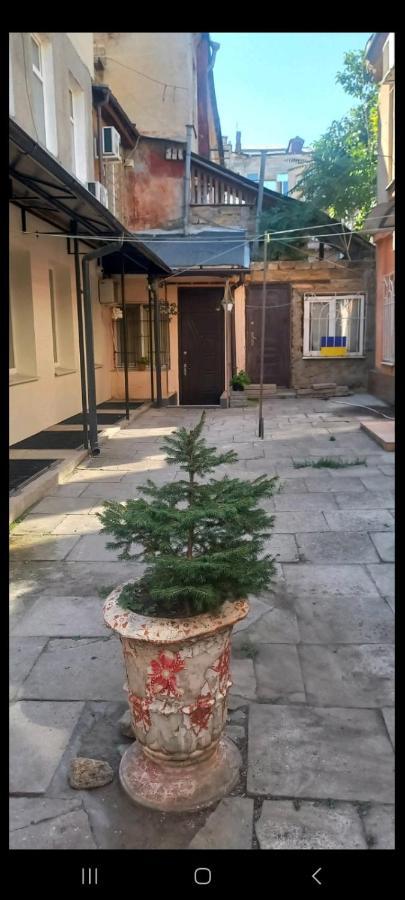 Александровский Odessa Dış mekan fotoğraf